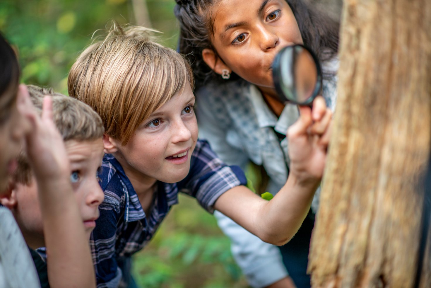 Elementary school kids hiking